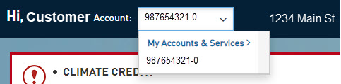 Where can I find my Detail of Bill Statements?