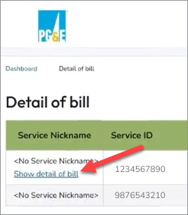 Where can I find my Detail of Bill Statements?